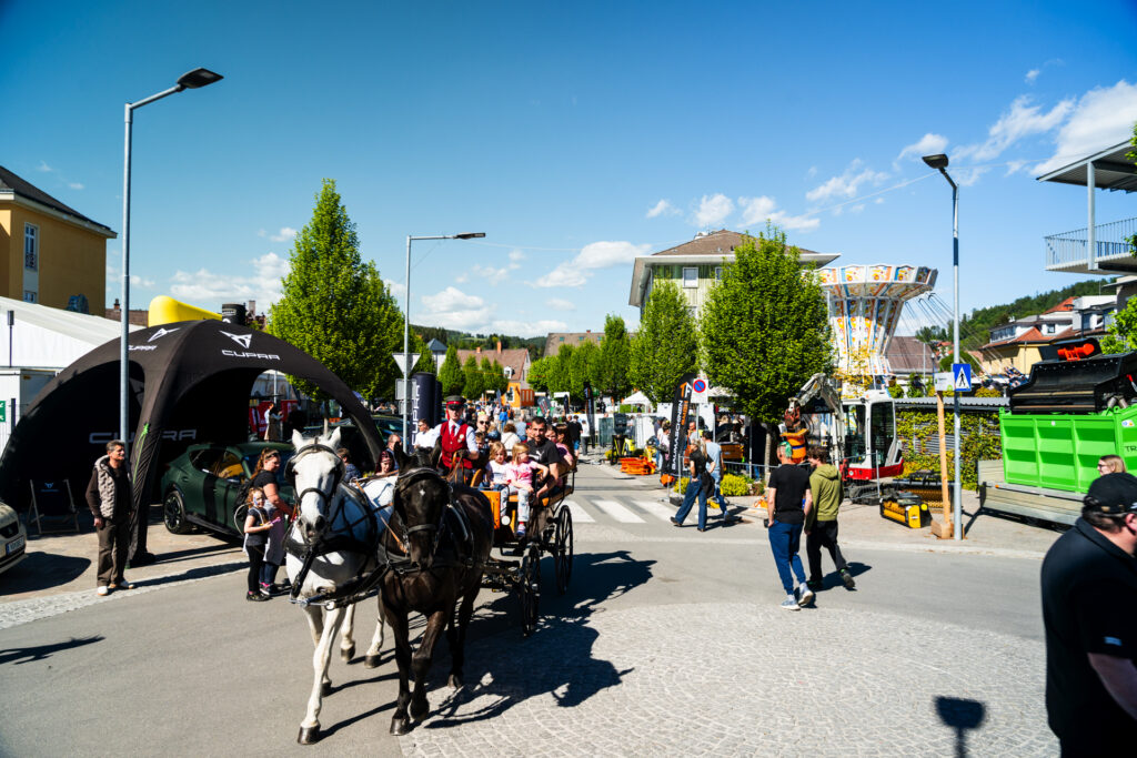 NOSUN Projekt Leistungsschau Lipizzanerheimat Eventorganisation